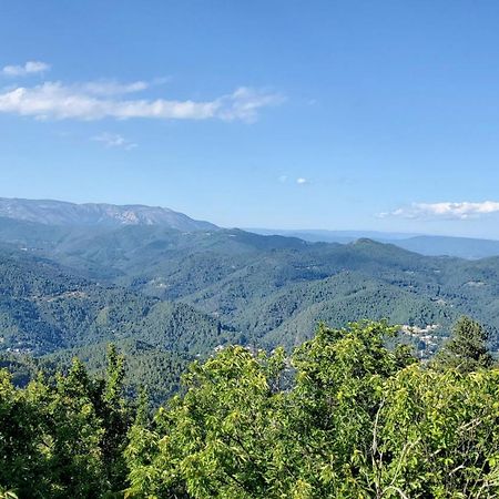 Gite De Combelebouze En Cevennes - Cosy, Confort Et Climatise - 3 Etoiles Saint-Privat-de-Vallongue Eksteriør billede