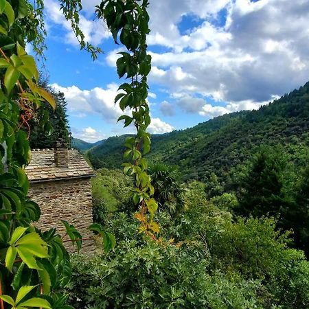 Gite De Combelebouze En Cevennes - Cosy, Confort Et Climatise - 3 Etoiles Saint-Privat-de-Vallongue Eksteriør billede