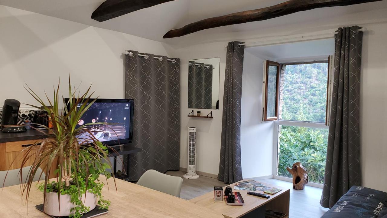 Gite De Combelebouze En Cevennes - Cosy, Confort Et Climatise - 3 Etoiles Saint-Privat-de-Vallongue Eksteriør billede