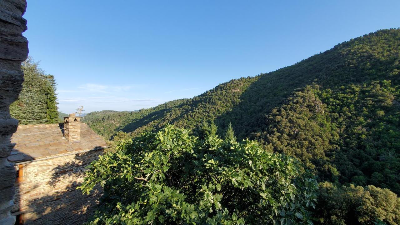 Gite De Combelebouze En Cevennes - Cosy, Confort Et Climatise - 3 Etoiles Saint-Privat-de-Vallongue Eksteriør billede
