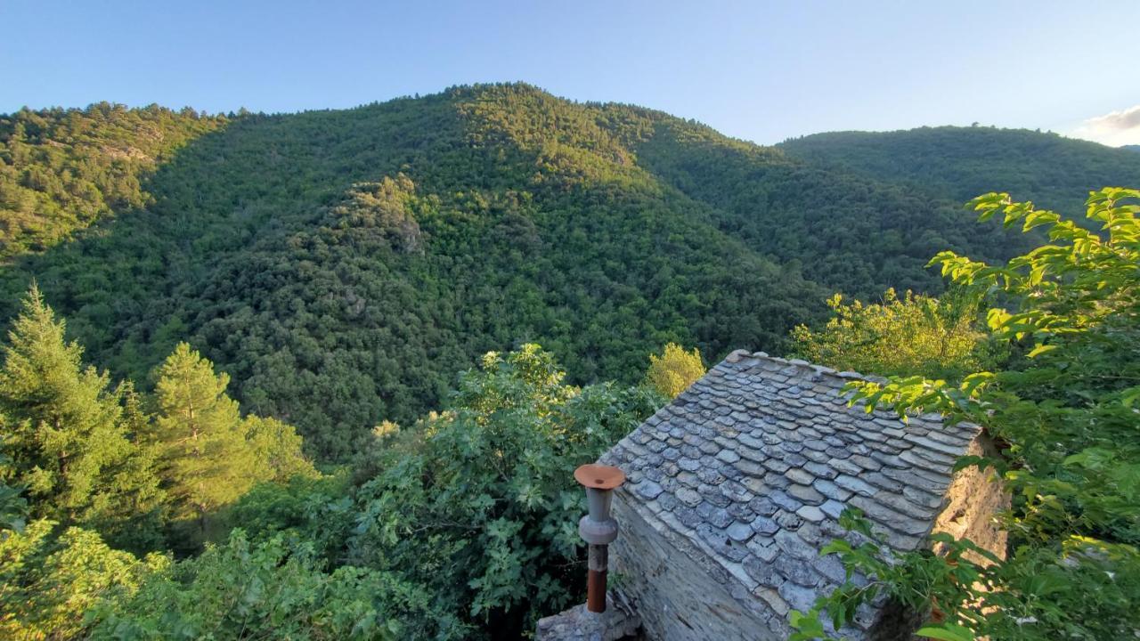 Gite De Combelebouze En Cevennes - Cosy, Confort Et Climatise - 3 Etoiles Saint-Privat-de-Vallongue Eksteriør billede
