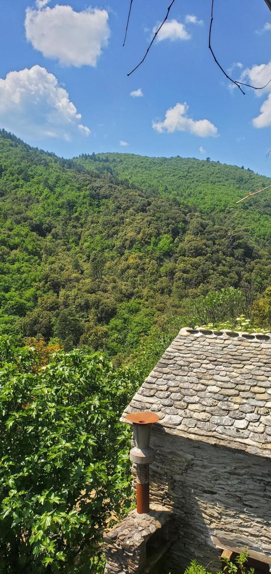 Gite De Combelebouze En Cevennes - Cosy, Confort Et Climatise - 3 Etoiles Saint-Privat-de-Vallongue Eksteriør billede