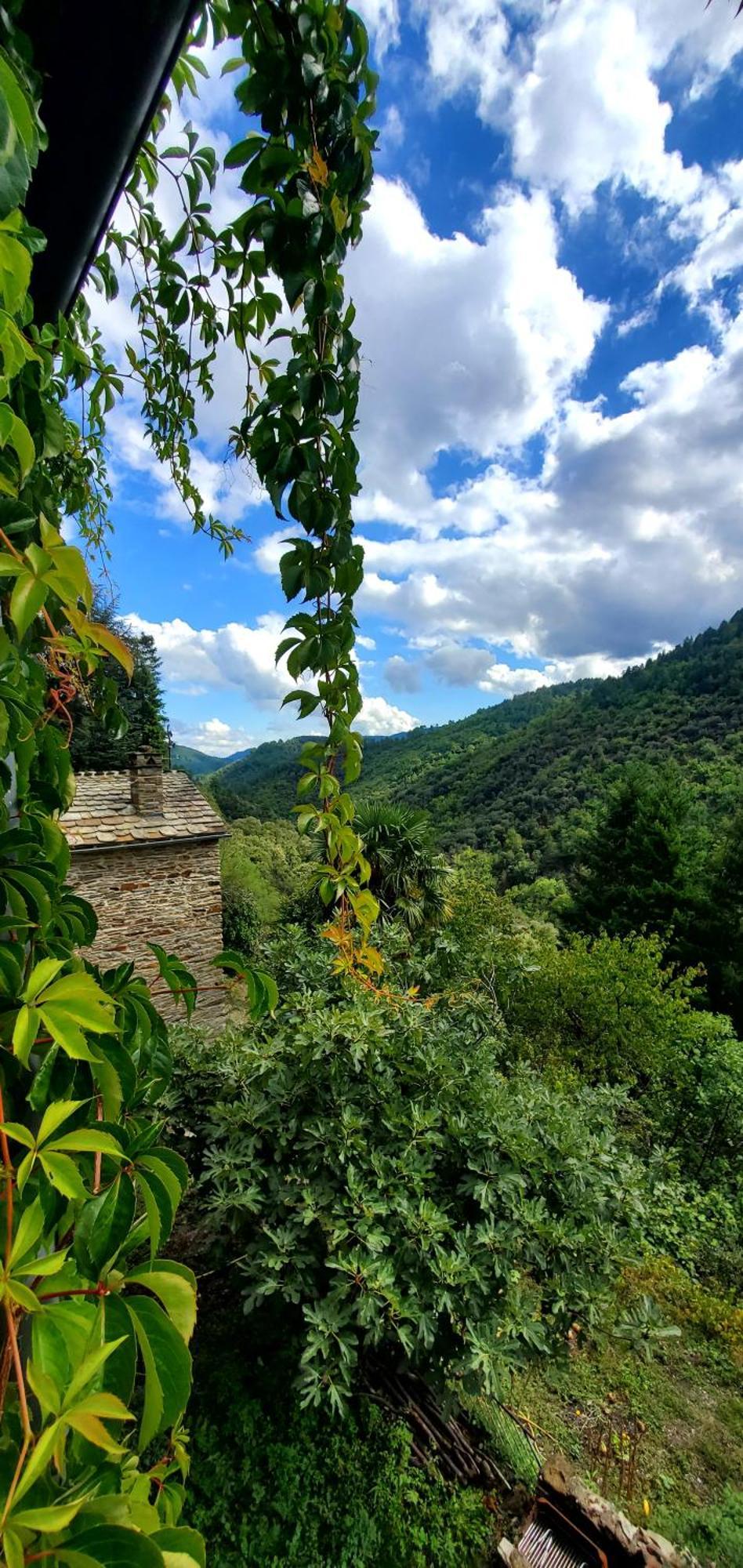 Gite De Combelebouze En Cevennes - Cosy, Confort Et Climatise - 3 Etoiles Saint-Privat-de-Vallongue Eksteriør billede