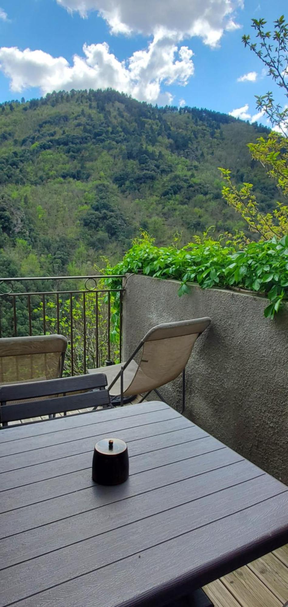 Gite De Combelebouze En Cevennes - Cosy, Confort Et Climatise - 3 Etoiles Saint-Privat-de-Vallongue Eksteriør billede